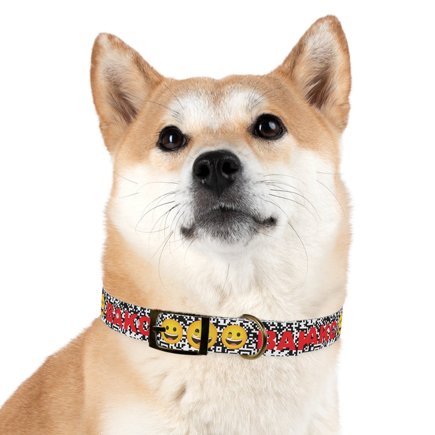 BORED DOGGO / W3B 3 Collar