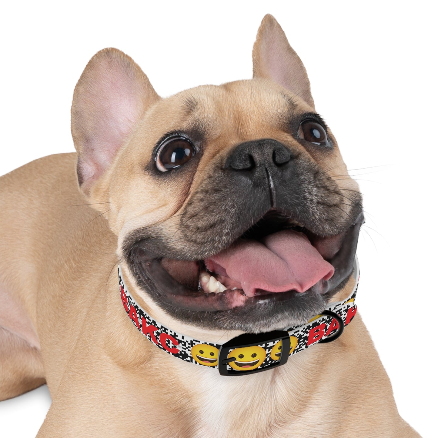 BORED DOGGO / W3B 3 Collar