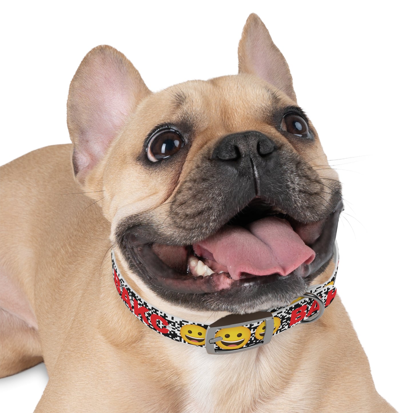 BORED DOGGO / W3B 3 Collar